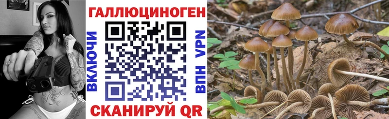 Псилоцибиновые грибы Psilocybine cubensis  цена наркотик  Курчатов 